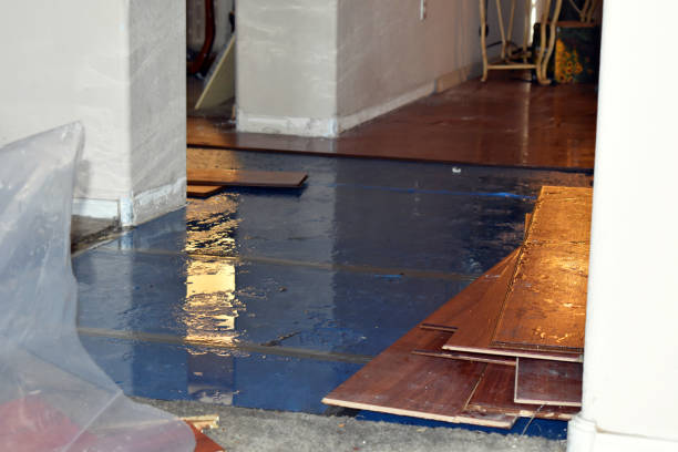 Professional Burst Pipe Cleanup technician working in Chickasaw, OH